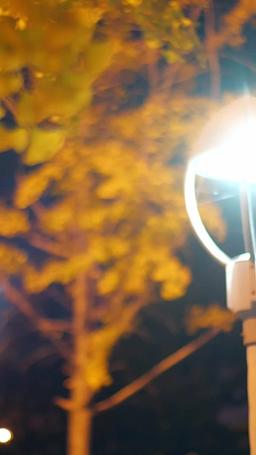 Daddy's Little Matchmaker episode 49