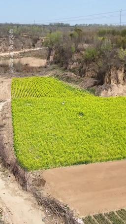 Avvinghiati alla mia mamma forzuta episode 1