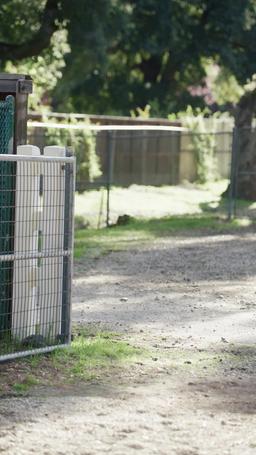 CEO Queen: Die Rache einer Mutter episode 42