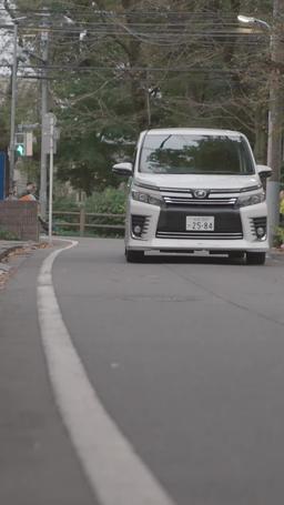 帰ってきたお嬢様 trailer