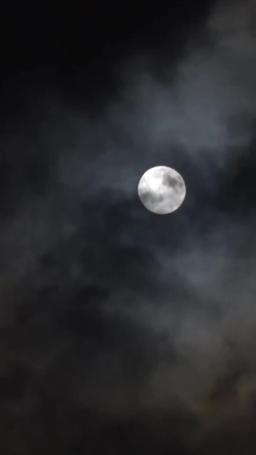 عودة الأم العظيمة والطبيبة الغامضة episode 15