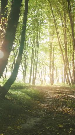 Desejada pelo Alfa Rebelde episode 3