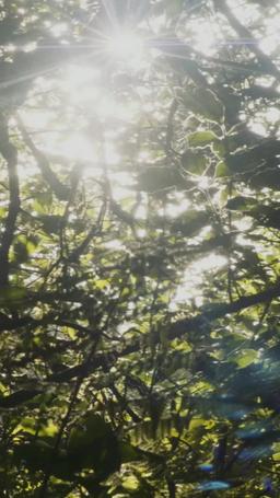 Jatuh Cinta pada Sang Alpha episode 43