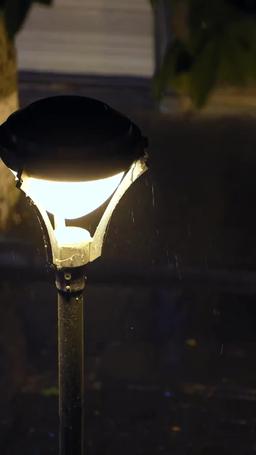 Come un uccello in gabbia episode 37