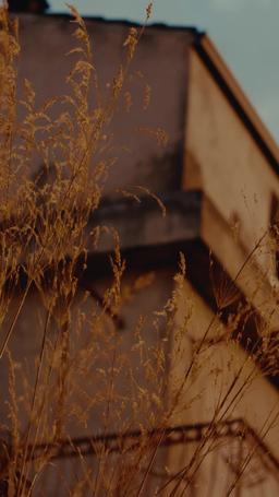 Pocałuj Mnie po Raz Ostatni episode 67