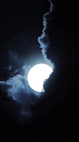 ชะตาผูกพันกับหมาป่าผู้เป็นศัตรู episode 14