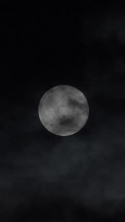 Hidden Companionship episode 29