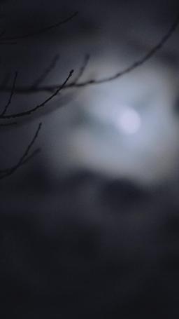 ชะตาผูกพันกับหมาป่าผู้เป็นศัตรู episode 22