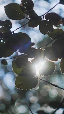 Enceinte du Père Professeur de mon Ex episode 32