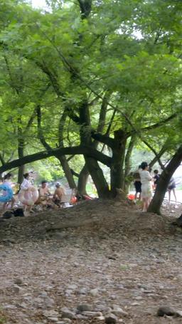 Till Lies Do Us Part episode 1