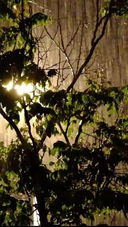 Una relazione tenuta all'oscuro episode 17