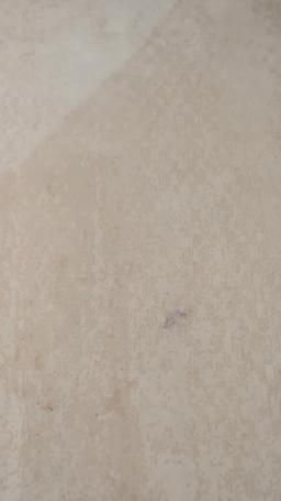 Her Baby’s Claimed by the Kingpin episode 28