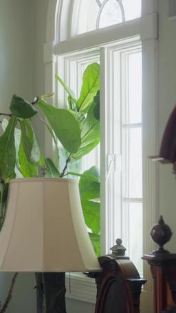 우연히 세쌍둥이를 갖게 된 억만장자 episode 14