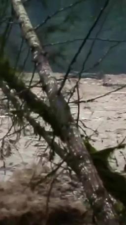 Reverse Rescue in the Great Flood episode 26