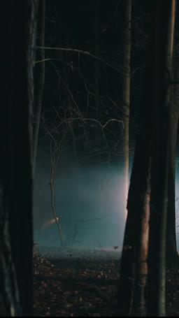 Kurt Kral'ın İntikamı: Kurt kral ve İnsan Eşi episode 39