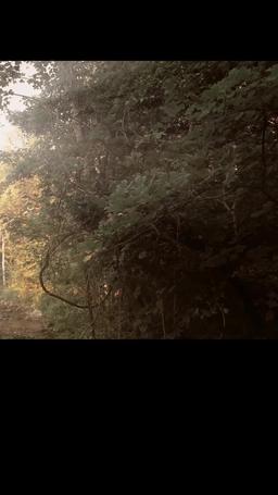 Dagger Kiss: Enchanted Forest episode 6