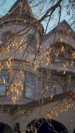 내 보스는 비밀 기증자 episode 47