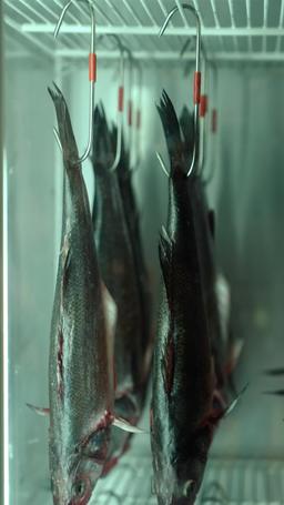 Reconquérir l'Amour par la Cuisine episode 4