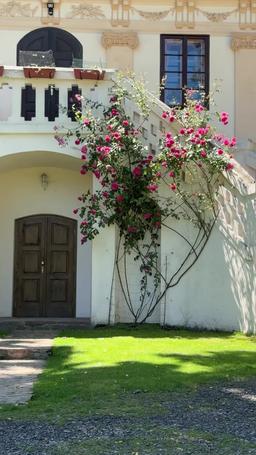 أنت تقودني إلى الجنون episode 20