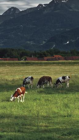 บ่วงเสน่หาหนุ่มคาวบอย episode 32