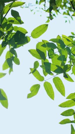 媽咪快跑，爹地追來了 episode 62