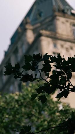 Dziewicza surogatka miliardera episode 20