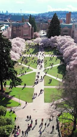 Papà casalingo si potenzia episode 1