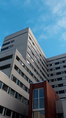 悲しみはどこまでも episode 24