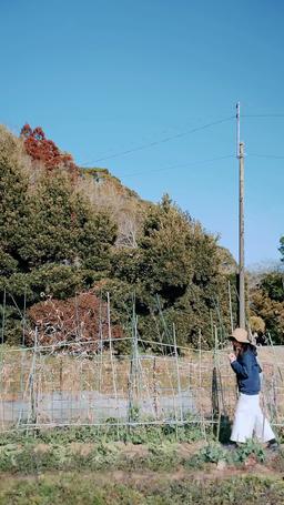 お嬢様をやめました！ episode 22