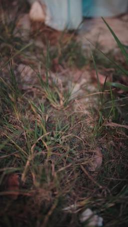 田舎娘の逆襲：私は太子妃になる！ episode 2