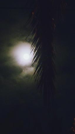 Odrodzona by kochać właściwego episode 70