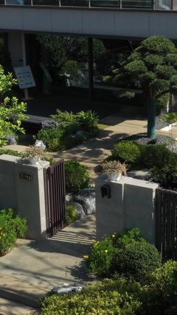 Doktor Qi twoje zagubione dziecko znów płacze episode 10