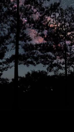 切ない愛を終らせて episode 49