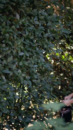 傲嬌狼君別惹我 episode 49