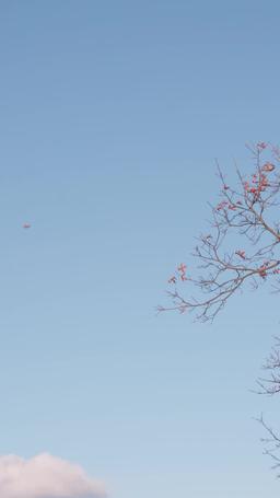 Open Your Eyes, My Billionaire Husband episode 1