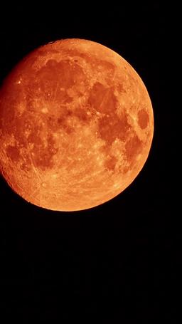 Réclamée par l'Alpha que je hais episode 64