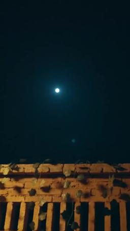 転生1990：村からのやり直し episode 39