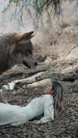 الأميرة والمتمرد trailer