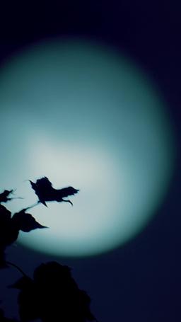 내 눈물을 닦아줄 새 남편 episode 70