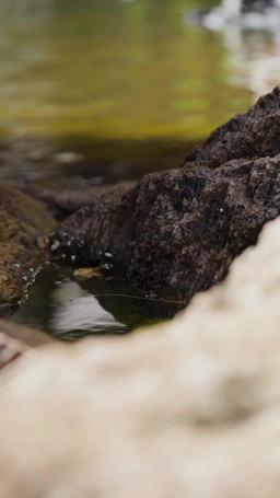 Dark Lord Daddy: Skyward Myth episode 2