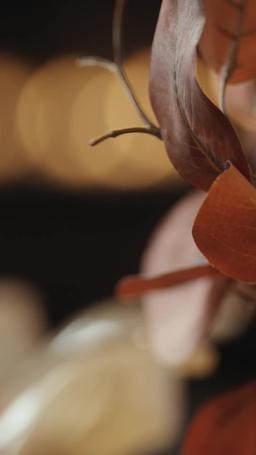 Seduzindo o Sr. Larsen episode 17