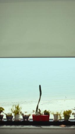 The Touch episode 17