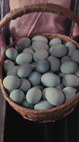 The Chancellor at My Door episode 28