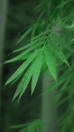 被趕出國門後，女帝悔哭了 episode 1