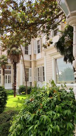 상속녀의 복귀, 보스의 사랑 episode 30