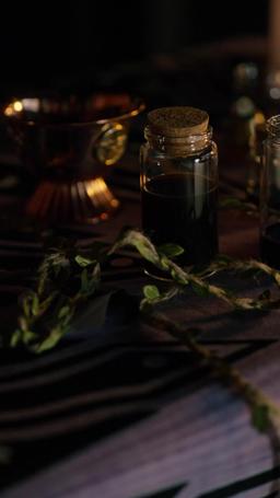 Fatal Temptation: Between Two Alphas episode 1