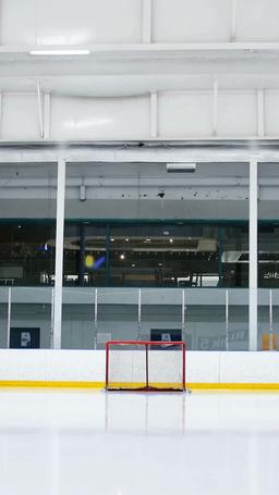 Mon Alpha du Hockey episode 36