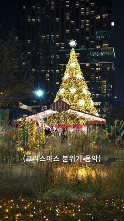 불륜 파파라치 episode 28