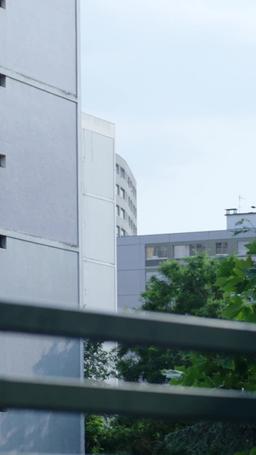 Il capo buongustaio è il padre di mio figlio episode 53