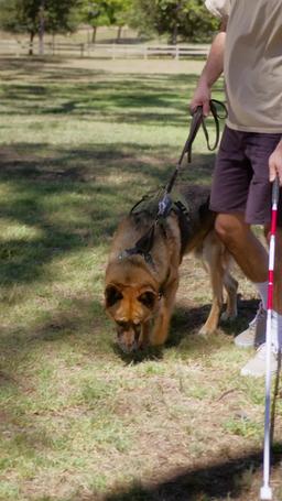 Tu es mon destin episode 20